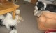 Thumbs/tn_Bild 085.jpg